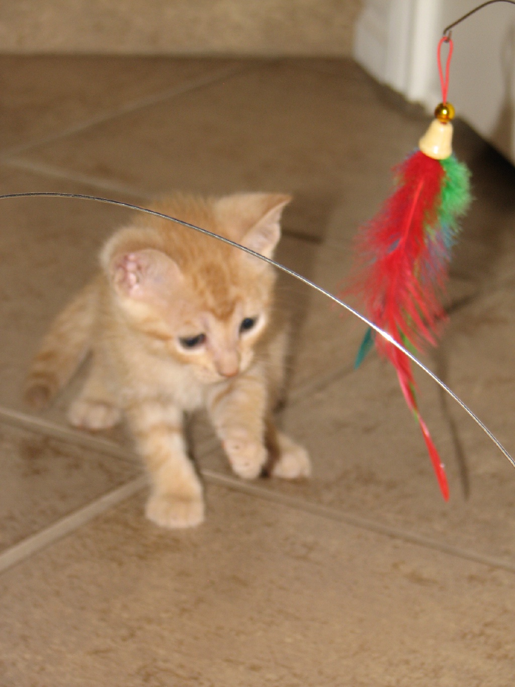 20100206 426.JPG